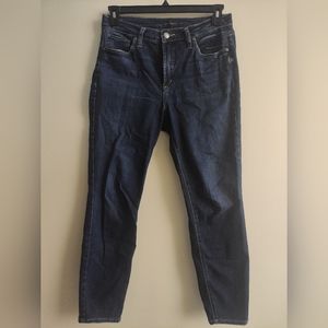 Silver Jeans High Note Skinny